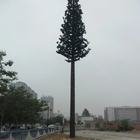 torre del camuffamento dell'albero del monopolo dell'antenna di 30m per la comunicazione mobile