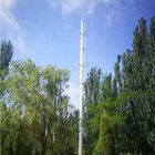 torre di antenna di sostegno auto di comunicazione di 30m