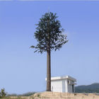 Torre cellulare del cammuffamento del pino del collegamento della flangia ISO9001
