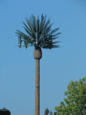 Il singolo palo GSM ha cammuffato la torre cellulare del pino