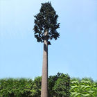 Gli alberi artificiali dello SGS cammuffano la torre del telefono cellulare
