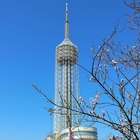 Torre mobile d'acciaio delle Telecomunicazioni di Cdma dell'antenna con la piattaforma di giro del ristorante