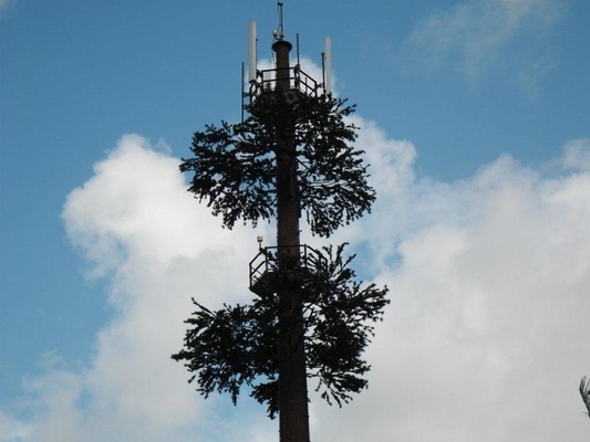 Torre cellulare del cammuffamento del pino 50m per la telecomunicazione