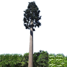 Comunicazione bionica diretta di verniciatura dell'albero della palma della torre cellulare del cammuffamento